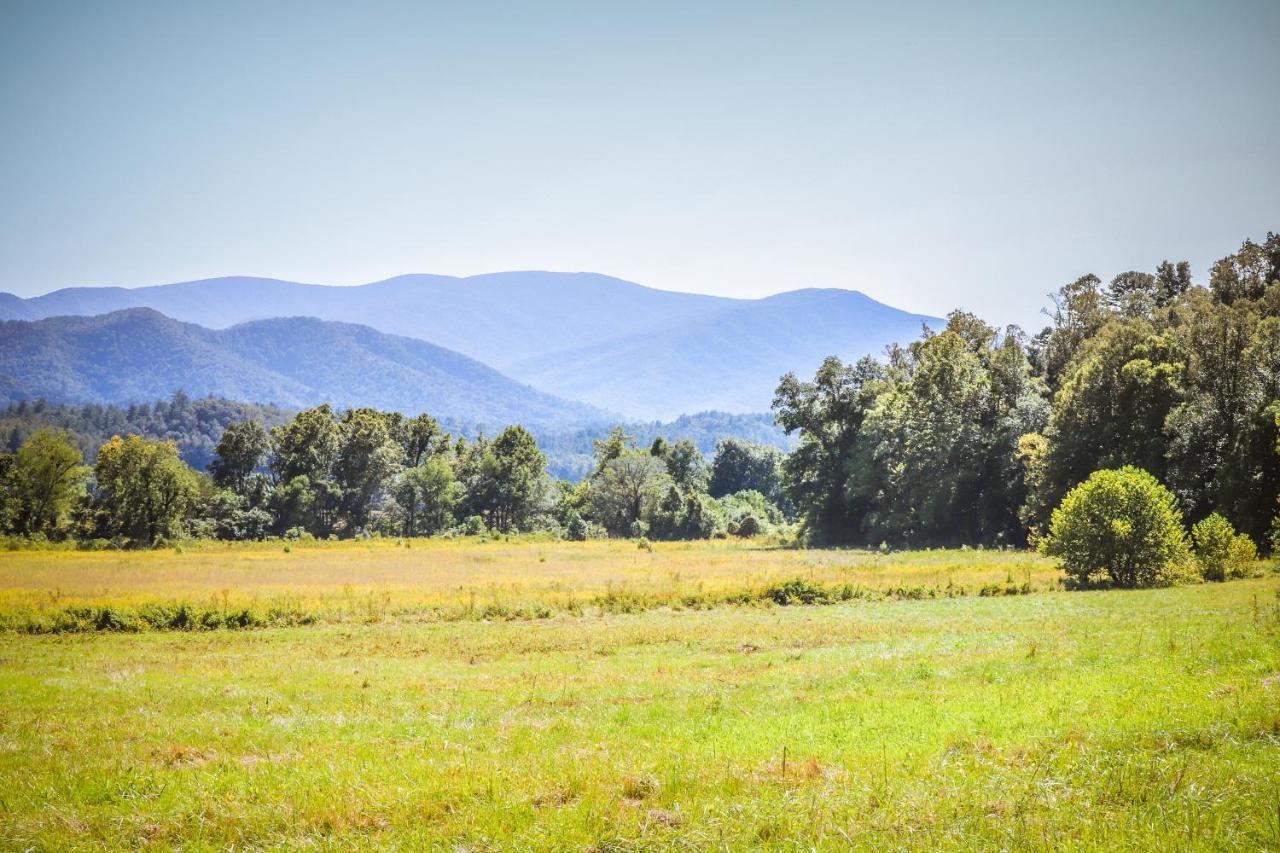 Pine Cone Ridge Villa Sevierville Exterior foto